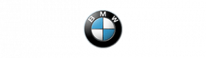 bmw-icon