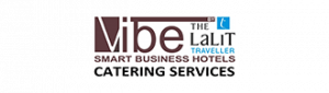 vibe-travels-logo